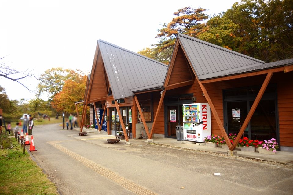 水の森公園キャンプ場