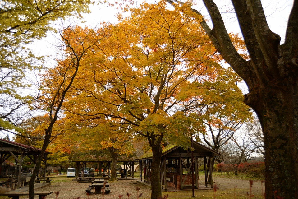 大崎市役所 市民岩出山いこいの森