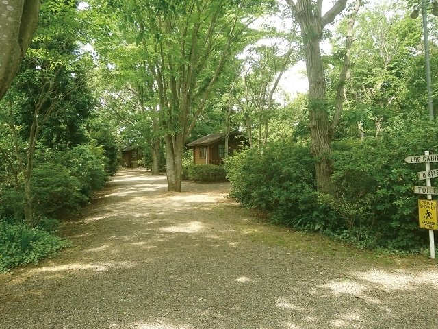 有野実苑オートキャンプ場