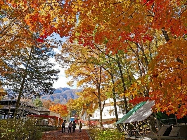 駒ヶ根キャンプセンター