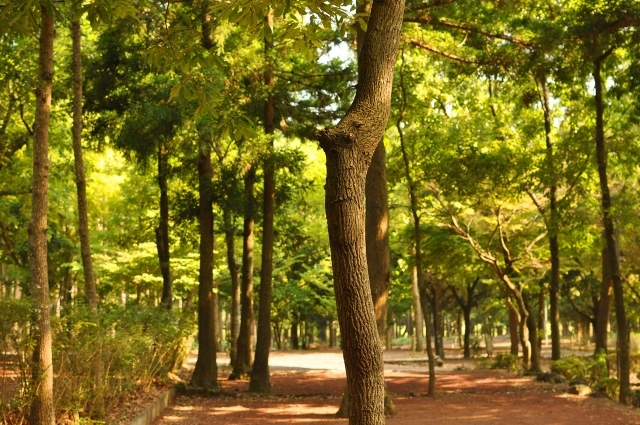 河津オートキャンプ場