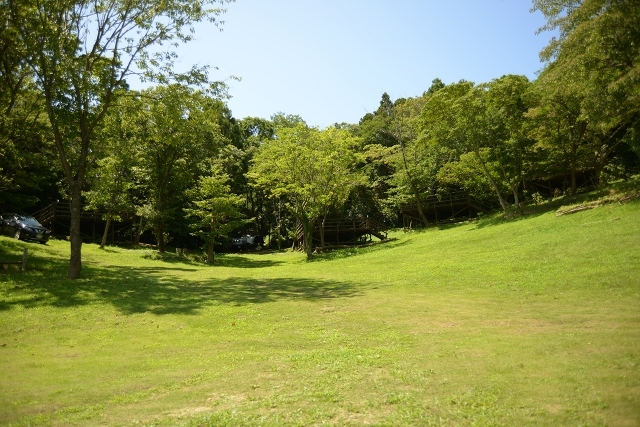 ぼっちの森