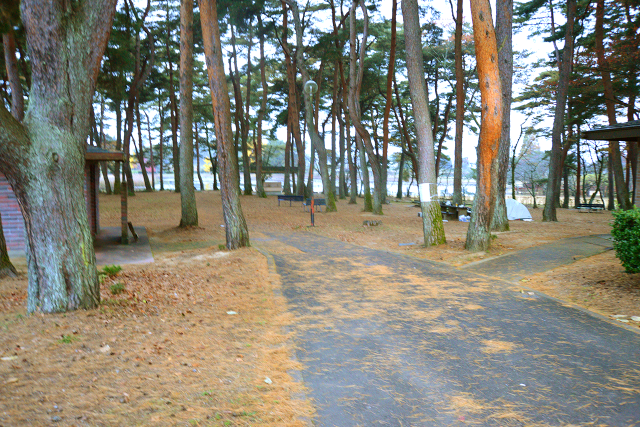 大池公園キャンプ場