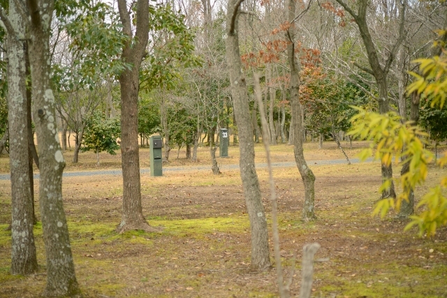 涸沼自然公園キャンプ場