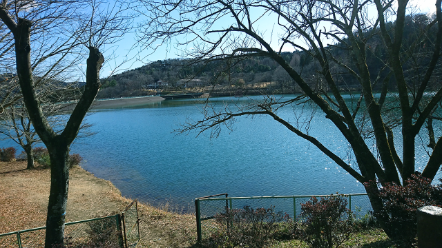 宇都宮市森林公園