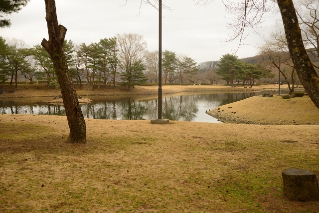 鳥野目河川公園オートキャンプ場